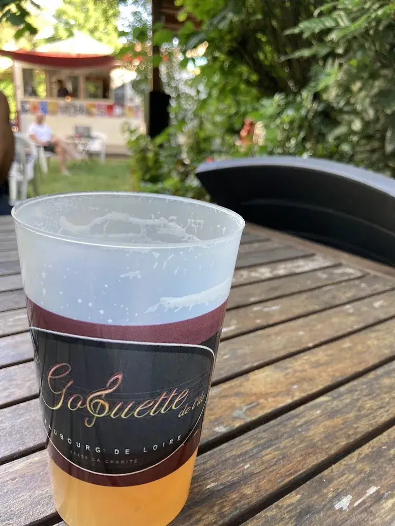 Harald Deppeler_La Goguette de l'ile_Charité-sur-Loire_review