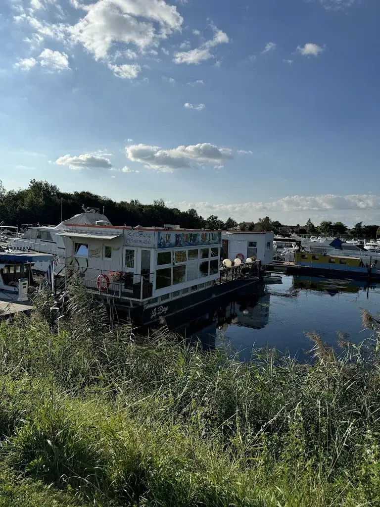 Sheila Taylor_La Barge_Saint-Jean-de-Losne_review