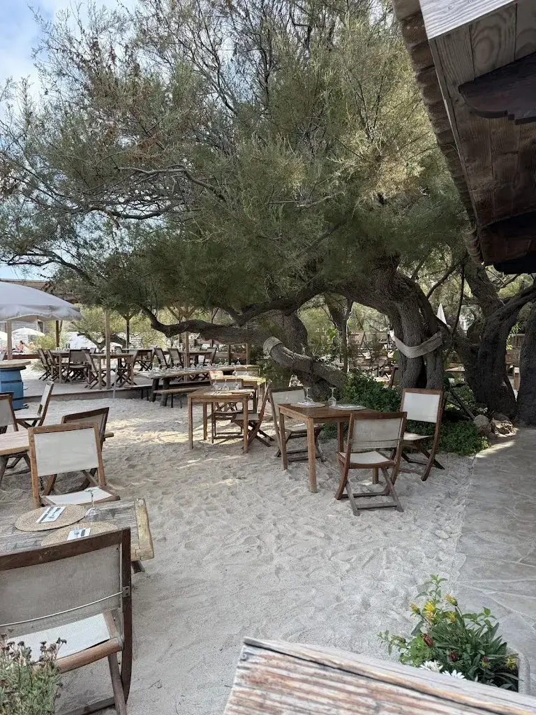 James Mahoney_Le Pingouin Bleu_Grimaud_review