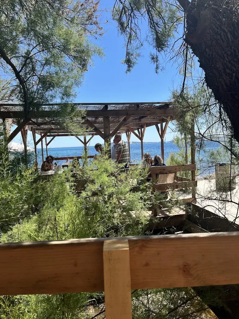 tays defaveri_Le Pingouin Bleu_Grimaud_review