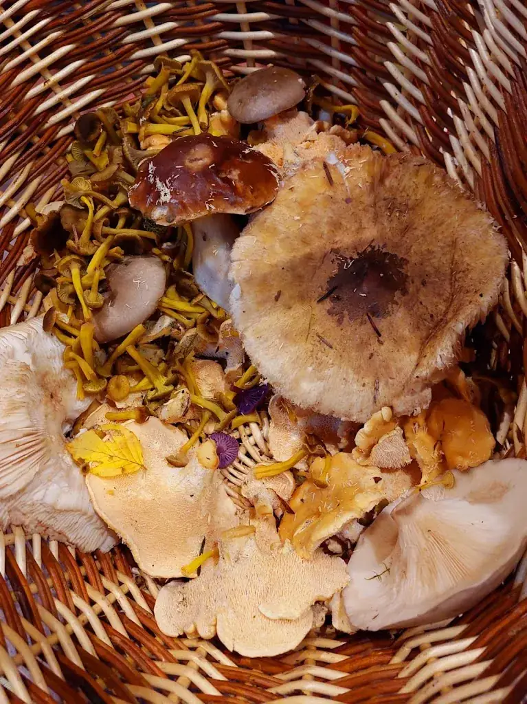 Menu_L'assiette d'ici_Lons-le-Saunier_image_5