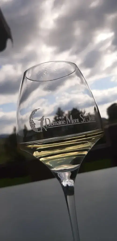 Menu_Restaurant du Domaine du Mont-Saint-Jean_Rousses_image_8