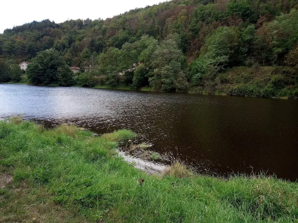 inspiron 69300_Restaurant LA CAMARGUE_Bas-en-Basset_review