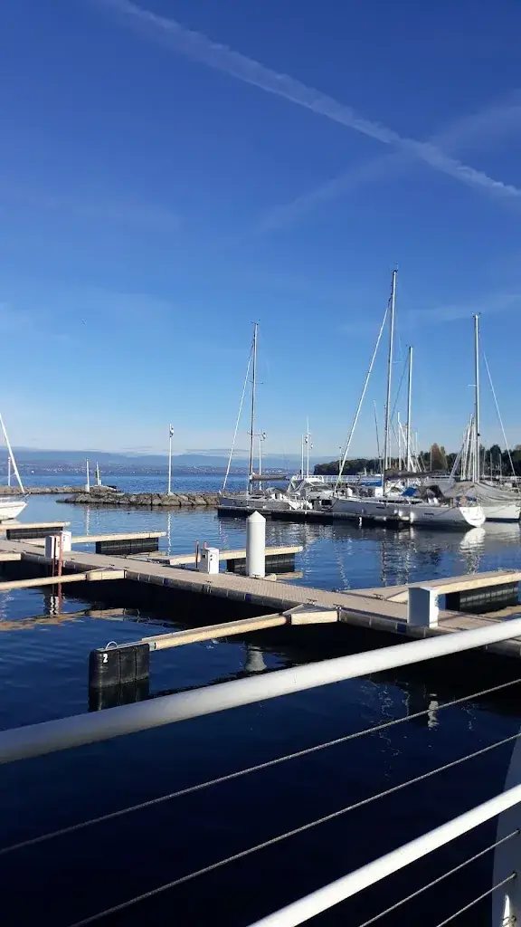 Hôtel du Lion d'Or restaurant in Mélisey