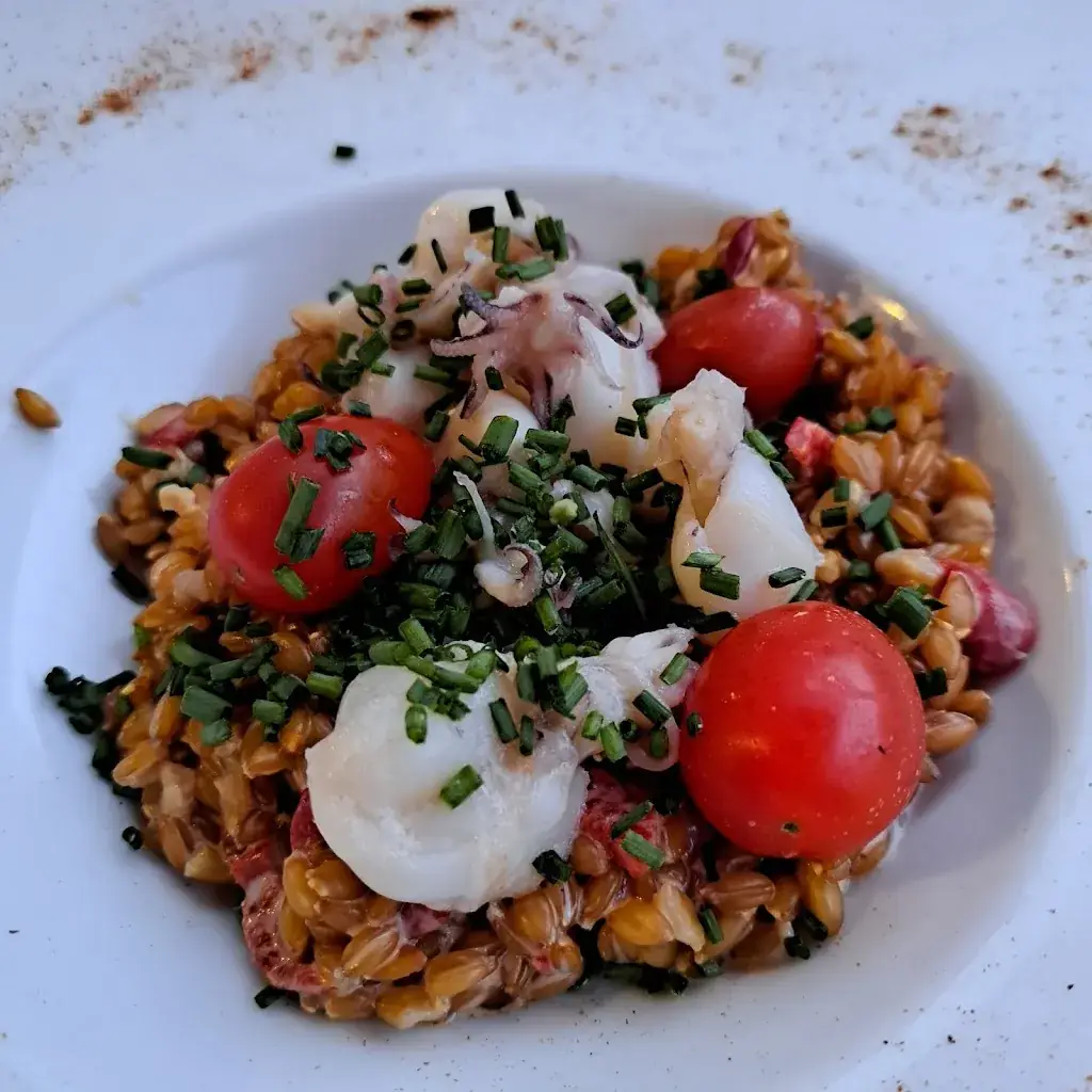 Jc Frejya_Le Bis_Montceau-les-Mines_review