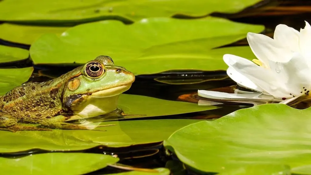 Bistro d Olivier_Montferrand-le-Château_slider_image_3