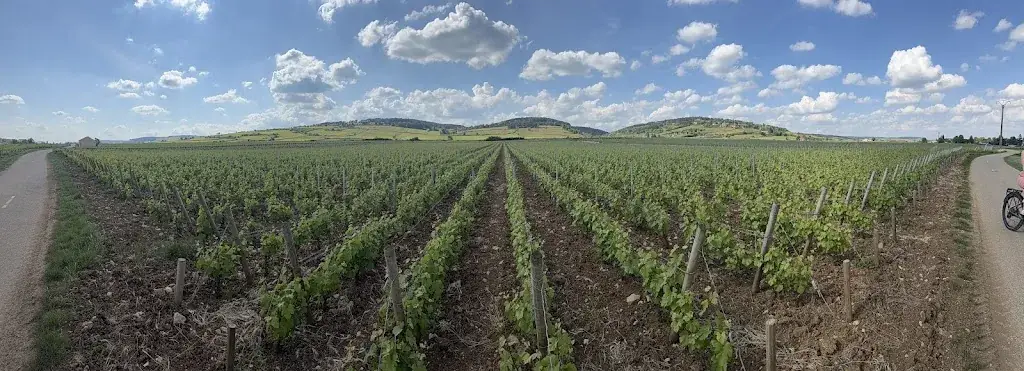 Mike Davis_Restaurant @ HOTEL LE GLOBE_Meursault_review