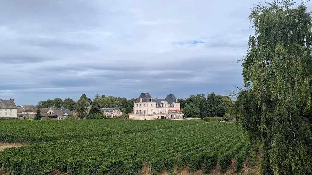 Cyril CF_Au Vieux Clos_Meursault_avis