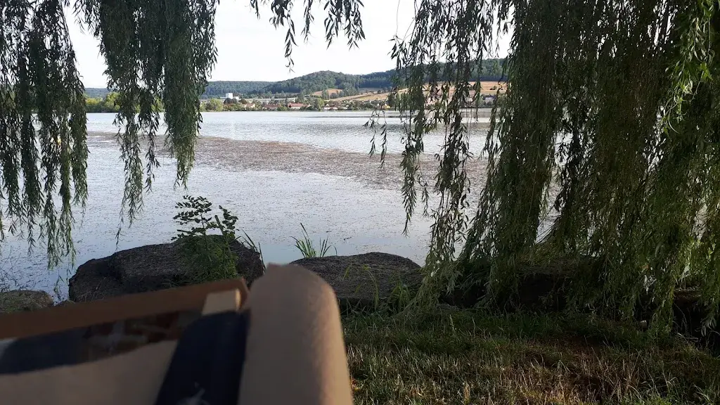 CLOTILDE GEOFFROY_Chez Dong_Navenne_review