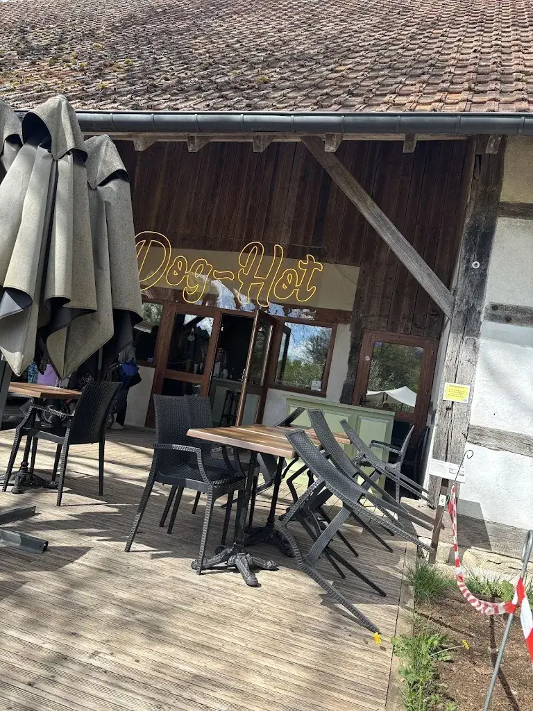 Ryan Billon_Restaurant Dog-Hot_Nancray_review