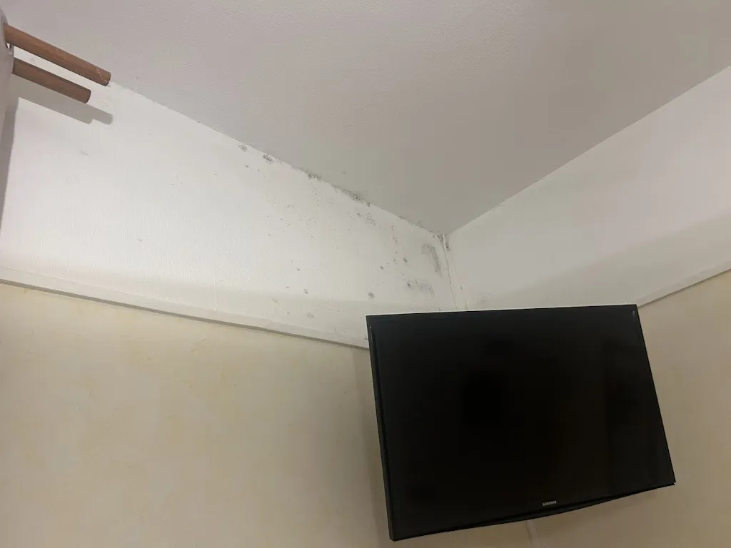 Djamila Yilmaz_Hôtel restaurant les Templiers_Montbard_recensione