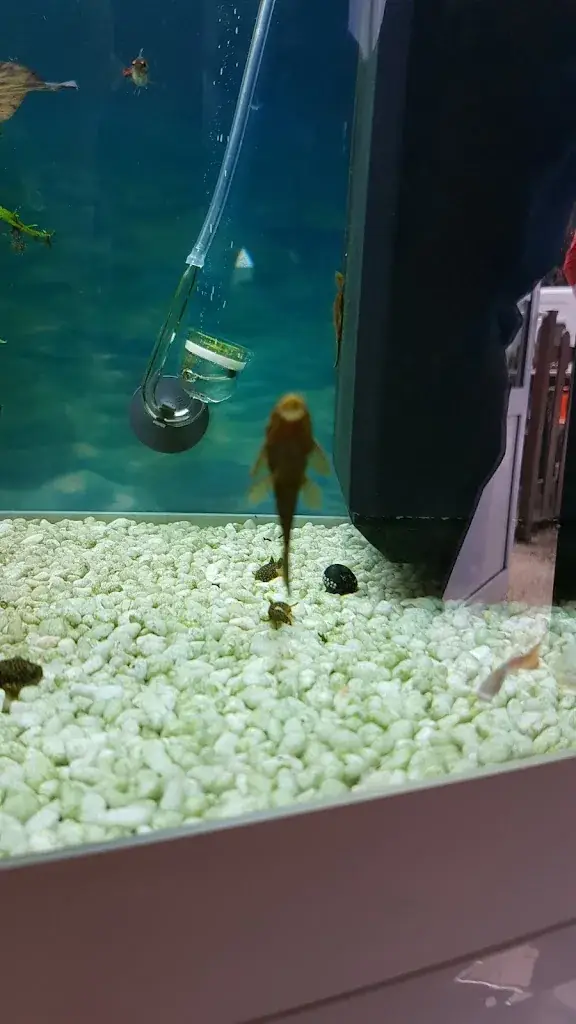 Menu_Restaurant Le Paris-Geneve Perrigny 39_Perrigny_image_6