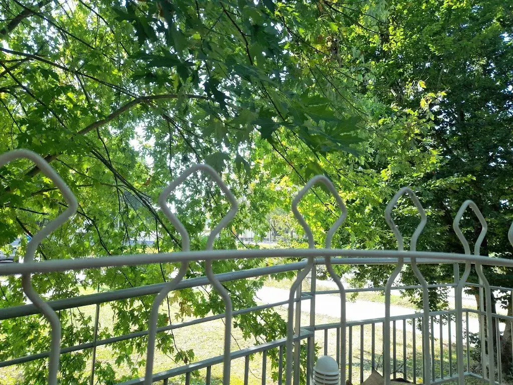 Léa_Le Vivier d'Argent_Thise_review