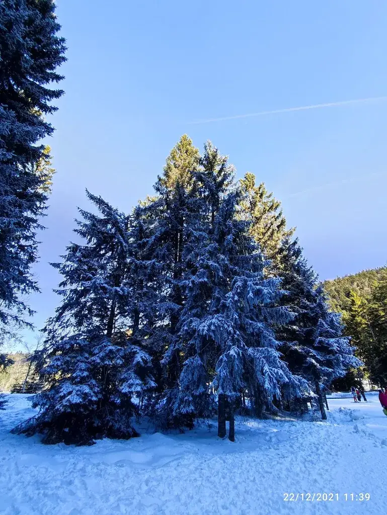 Le resto de la Planche des Belles-Filles_Plancher-les-Mines_slider_image_3