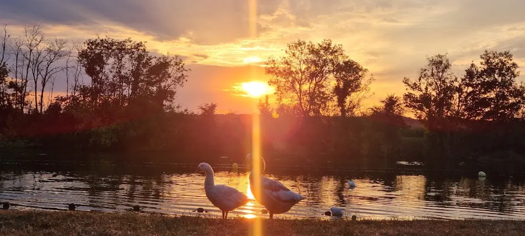 Robet Y _La Guinguette de Pontailler_Pontailler-sur-Saône_review