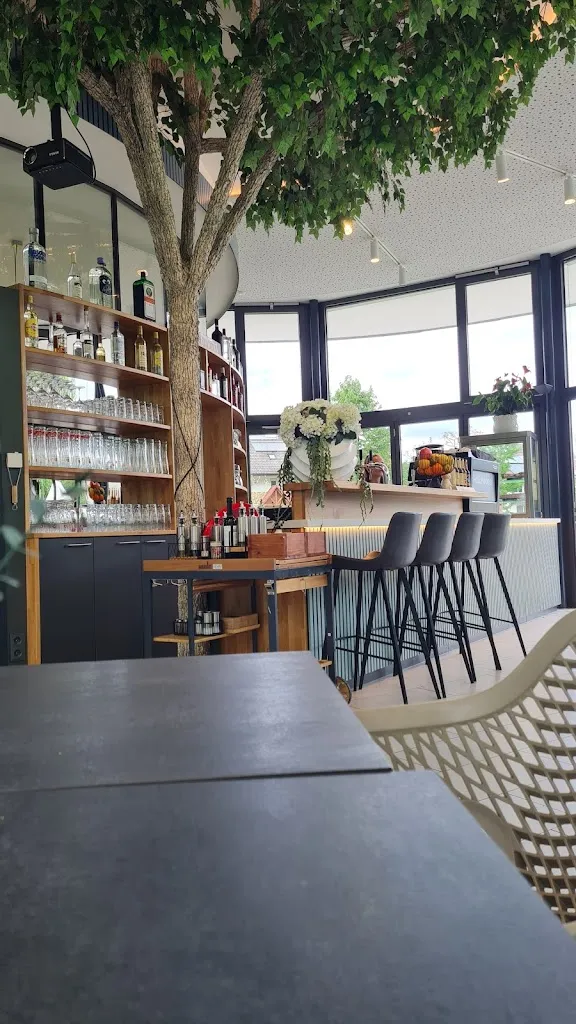 Eva E_THE KITTEN - Restaurant - Bar_Abstatt_review