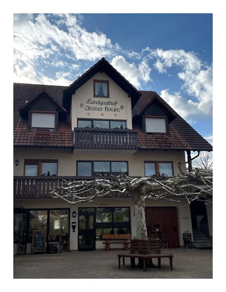 Robert DUCASSOU_Landgasthof Grüner Baum_Achern_avis