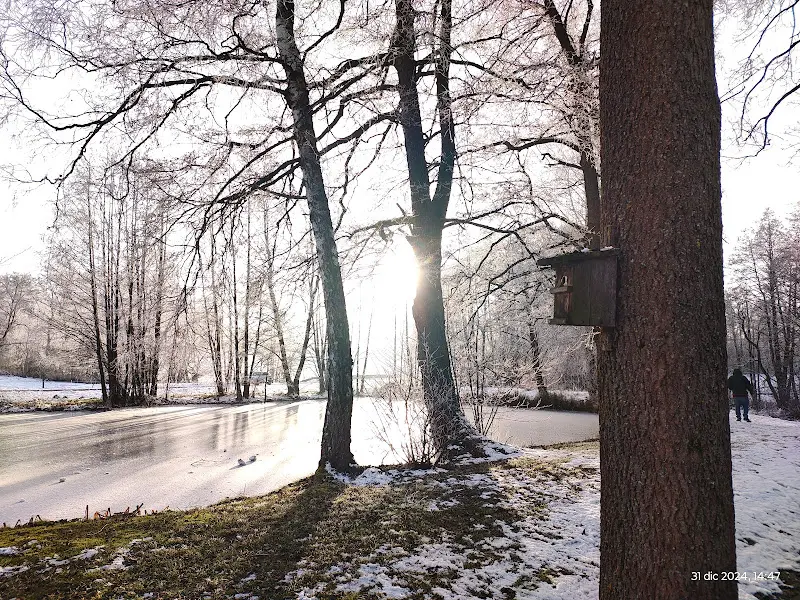 daniela scarpa_Wirtshaus zur Stieglmühle_Waldershof_recensione