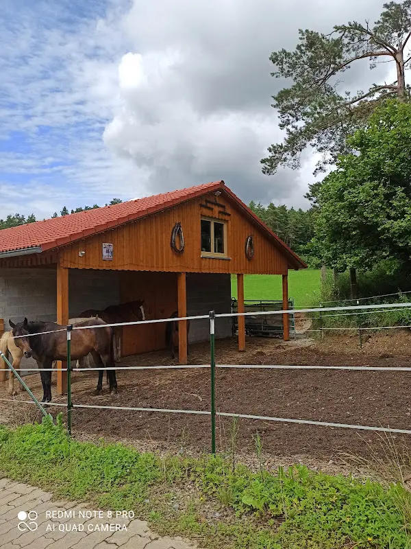 Düngfelder Florian Gasthaus_Waischenfeld_slider_image_1