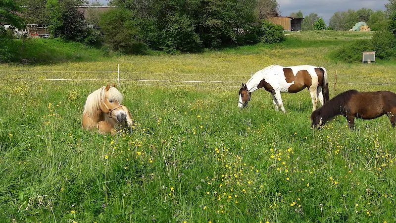 Düngfelder Florian Gasthaus_Waischenfeld_slider_image_2