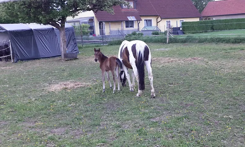 Düngfelder Florian Gasthaus_Waischenfeld_slider_image_3