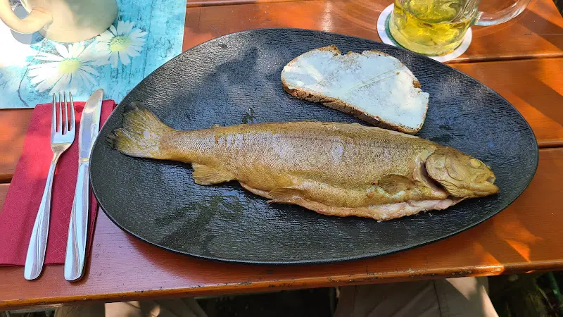 Martin Schachinger_Halleralm_Waldkirchen_review