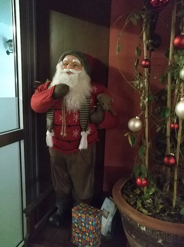 Virginia Ilina_Capriccio_Waldkraiburg_review