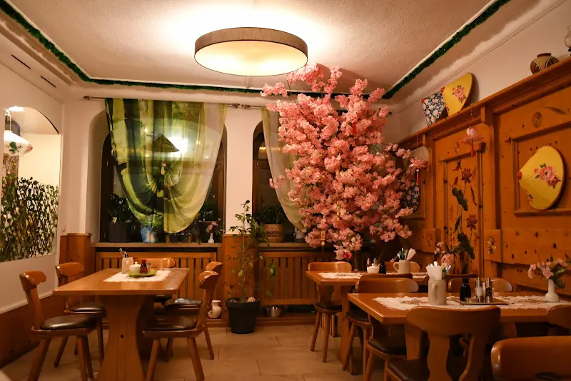 Phong Asia Restaurant_Waldmünchen_slider_image_1