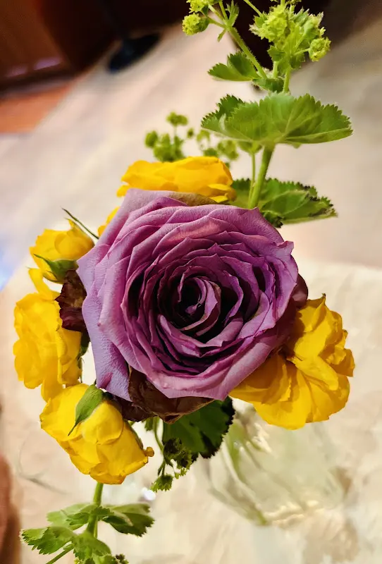 Rem LM_Landhotel Hallnberg_Walpertskirchen_recensione