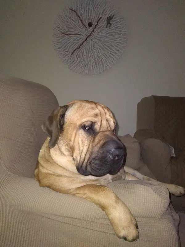 John Magyar_Bräuhof Wallersdorf_Wallersdorf_recensione