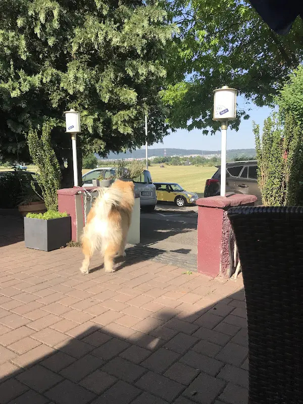 Victor Ratushniak_Restaurant Kikis Tante Ju_Walldorf_review