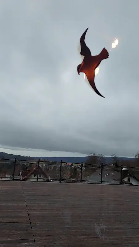 Bullhead House - Ochsenkopfhaus_Warmensteinach_slider_image_2