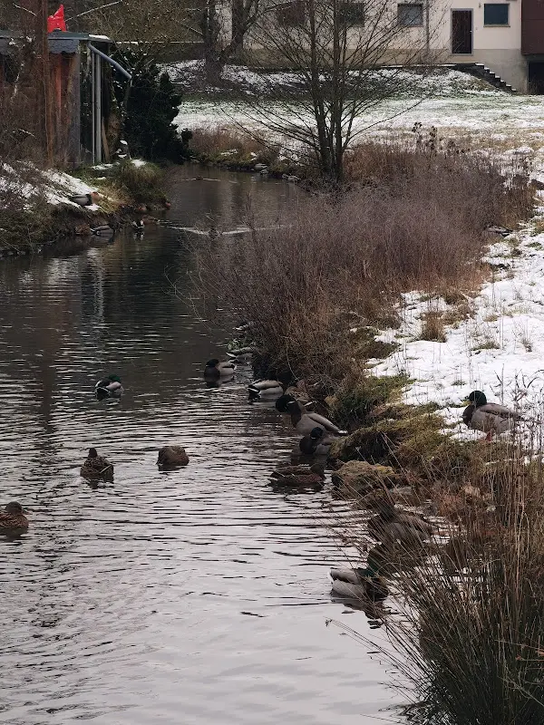 Apostolos Vourvoutsiotis_Zum bayerischen Johann Landgasthof & Pension_Weigendorf_recensione