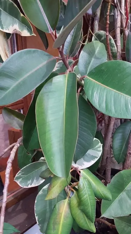 Silbermühle vino y tapa Restaurant_Bayern_slider_image_2