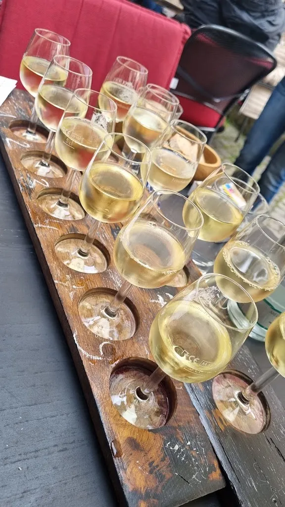 Deborah Hadley_Zehnthauskeller_Beilstein_reseña