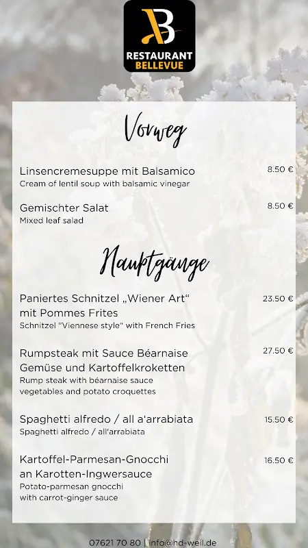 Menu_BelleVue_Rhein_immagine_2