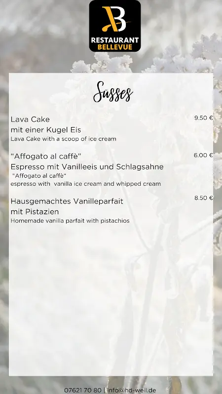 Menu_BelleVue_Rhein_immagine_4