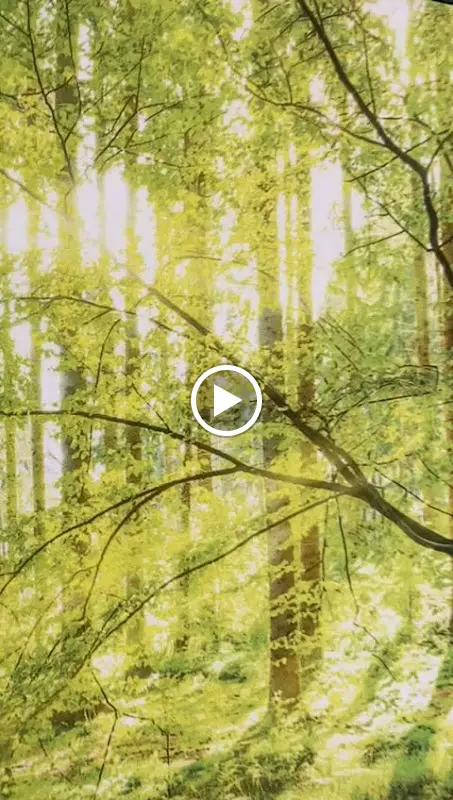 AKZENT Hotel Restaurant Kino Meerfräulein_Wemding_slider_image_2