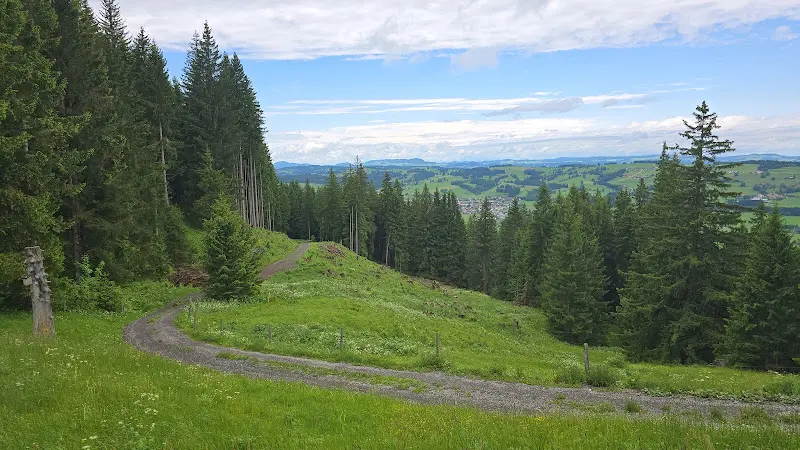 Dieter Gutmann_Alpe Blösse_Wertach_avis
