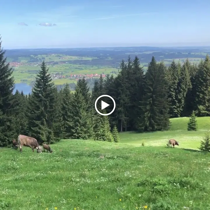 Alpe Blösse_Wertach_slider_image_2