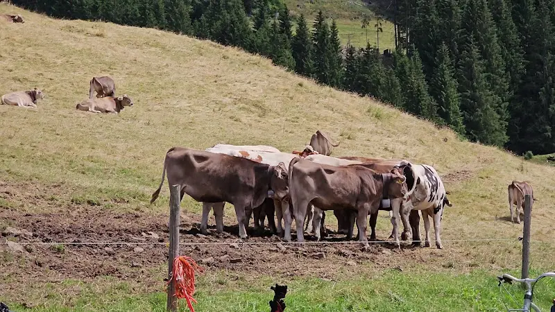 Alpe Sorg I_Wertach_slider_image_2