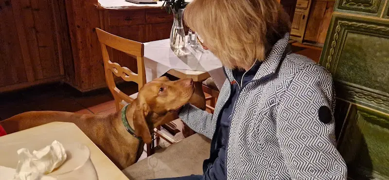 John Hanswijk_Zum Wenden Gasthaus Hotel_Wendelstein_review