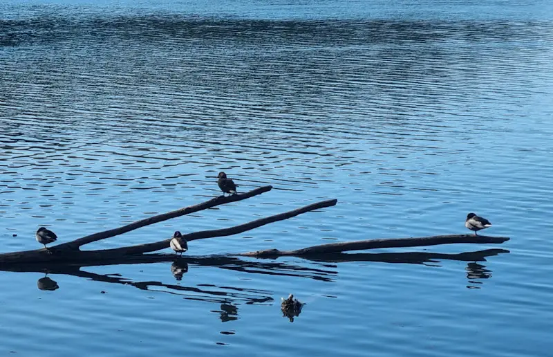 Spießbratenhaus_Weyarn_slider_image_3