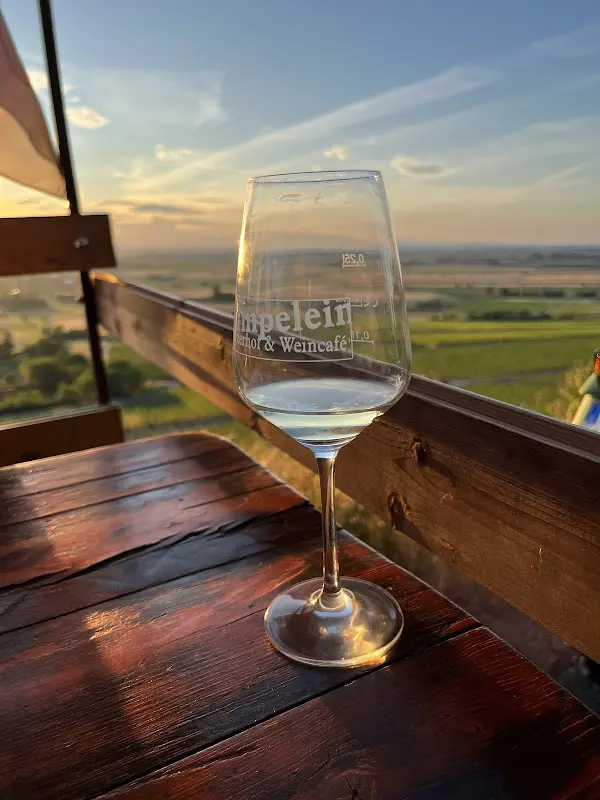 Winzerhof Gümpelein_Willanzheim_slider_image_2