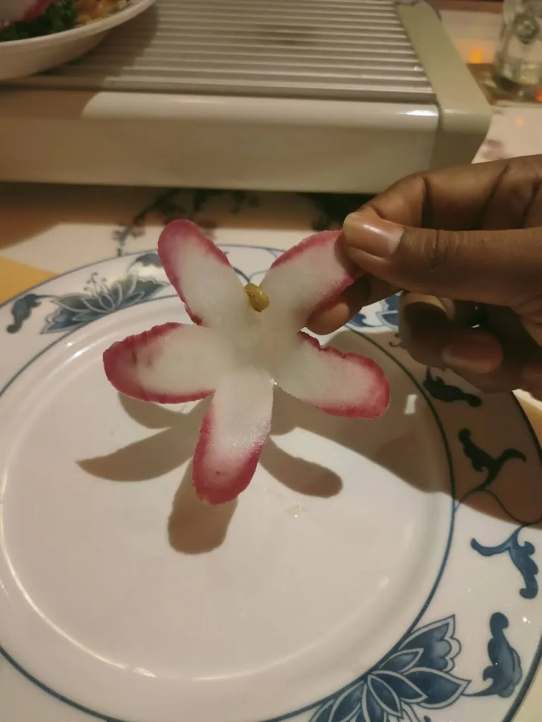 ARUN PRAKASH_China Restaurant Brücke_Balingen_review