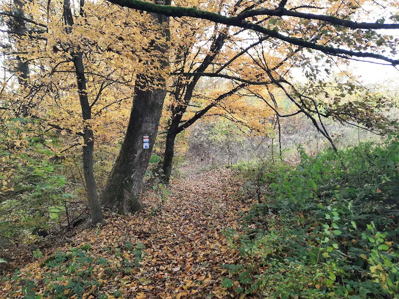 Steinlein_Wirsberg_slider_image_3