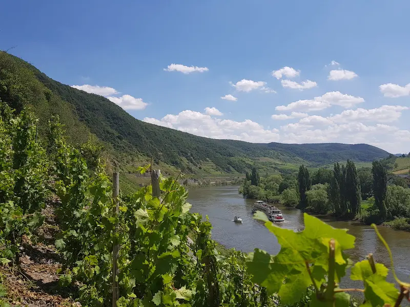 Alte Winzerschenke_Bruttig-Fankel_slider_image_3