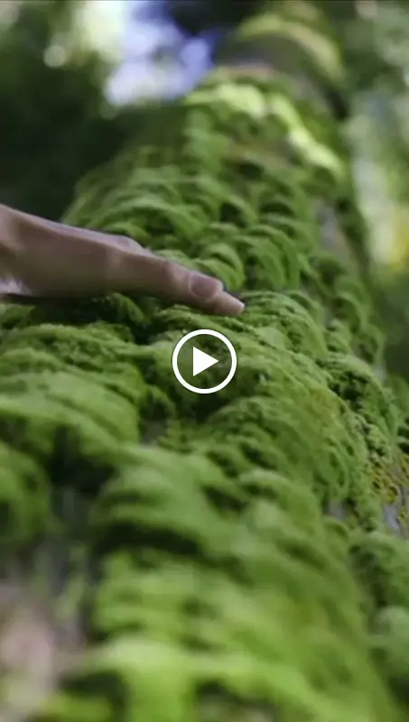 Gasthof Zum Schüsselgrund_Trockenborn-Wolfersdorf_slider_image_2