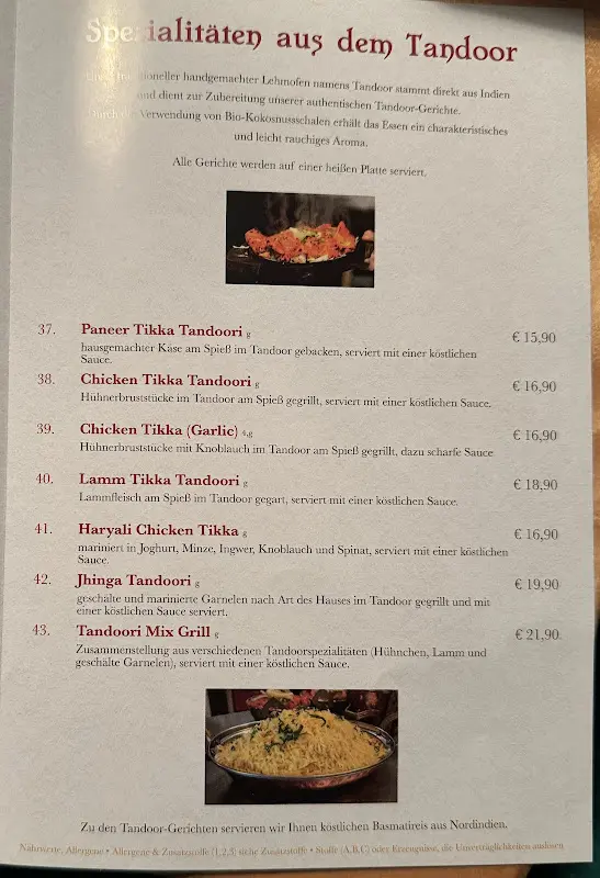 Menu_Tandoori_Wonfurt_immagine_3