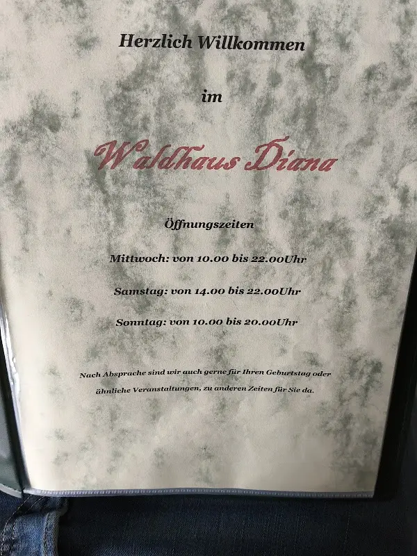 Auch Jemand_Waldhaus Diana_Main_review